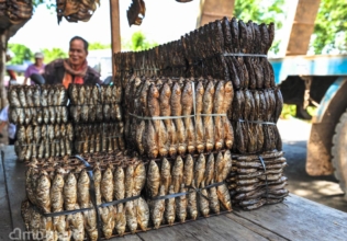Gruppo di Federico Tenconi e Signora Aiello Simona