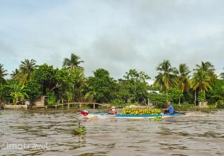 Viaggio Vietnam del Sud con Sig.ra Elena Di Natale