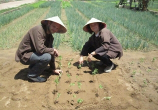 Gruppo di Samuele Barnabe e Anna Balestrazzi