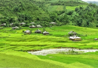 Gruppo di Gilberto Bari