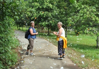 Group of Tim and Dee Armstrong