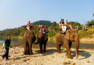 Gruppo di Alexa Dorina