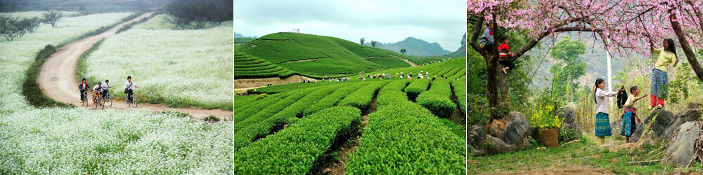 itinerario viaggio vietnam mai chau