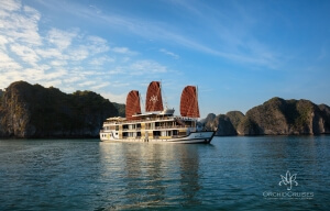Orchid Cruise Halong