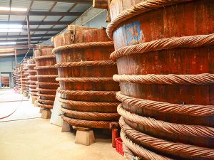 Dentro una fabbrica di salsa di pesce a Phu Quoc (Foto: Internet)