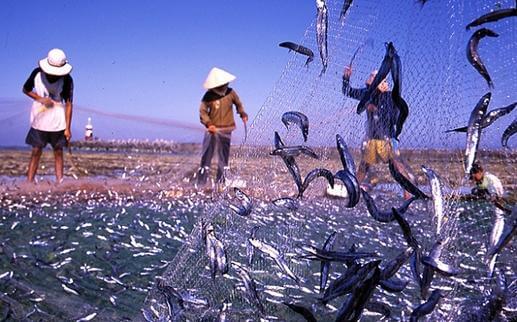 Villaggio di pescatori Ham Ninh