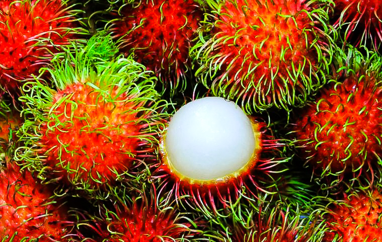 Frutta tropicale in Vietnam Rambutan - Chom Chom