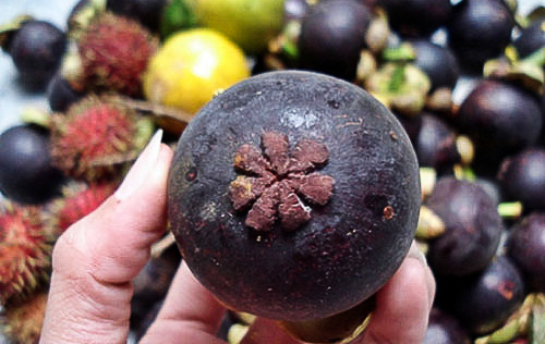 Frutta tropicale in Vietnam