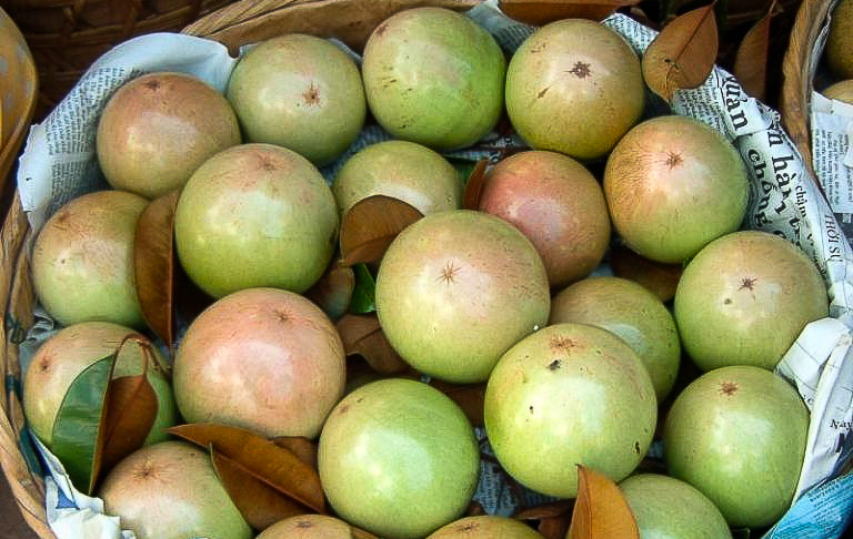 Frutta tropicale in Vietnam - Melastella (quả Vú Sữa)