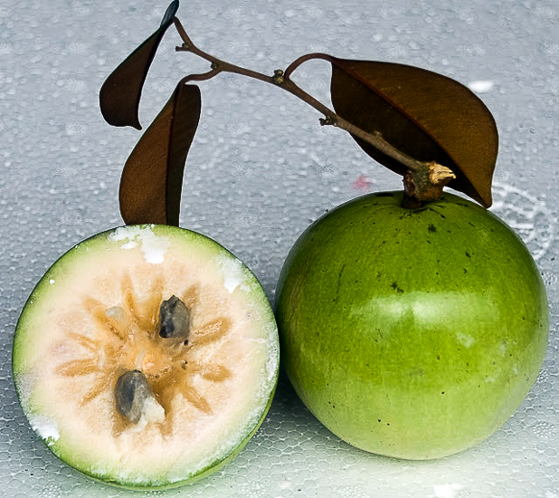 Frutta tropicale in Vietnam - Melastella (quả Vú Sữa)