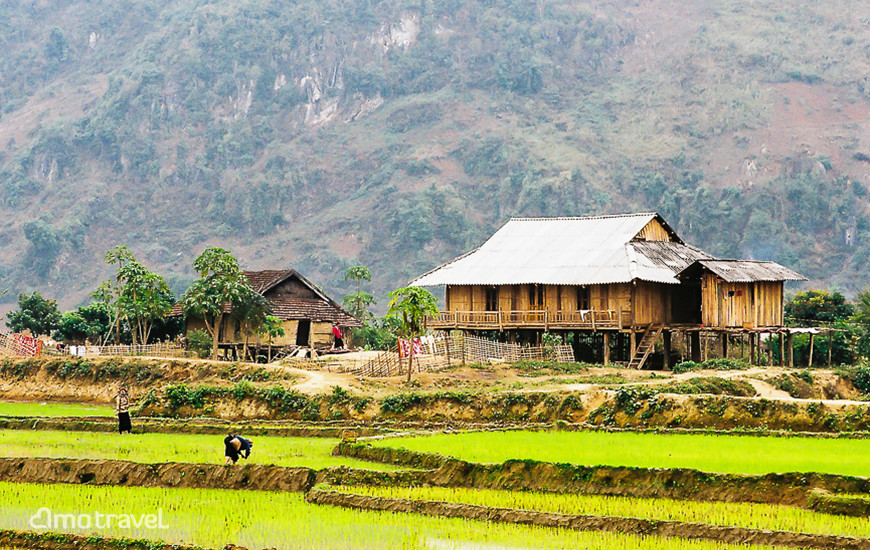 Tour da sud a nord del vietnam: da Ho chi minh fino ad Hanoi con bus, treni, traghetti, aereo.