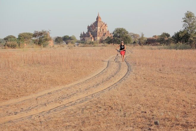 Stare in qualsiasi posizione si può vedere la punta di spumante di giallo, rosso vivo dei pannelli del controsoffitto in cima torri di spicco sul verde scuro dei cespugli.