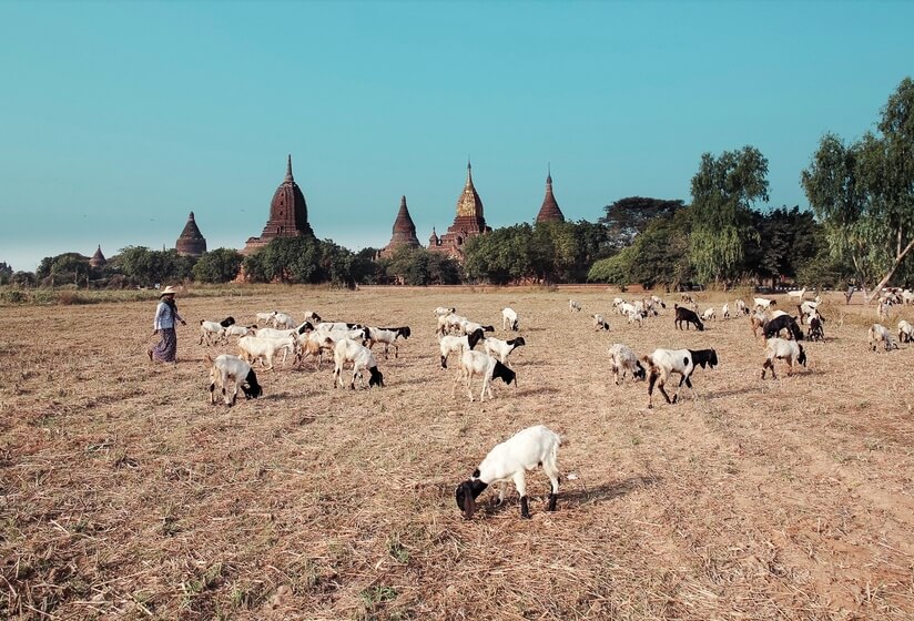 Tra il 9 ° secolo sotto il re Anawrahta (che unificò la Birmania sotto Buddismo Theravada) è una terra di Bagan impero.
