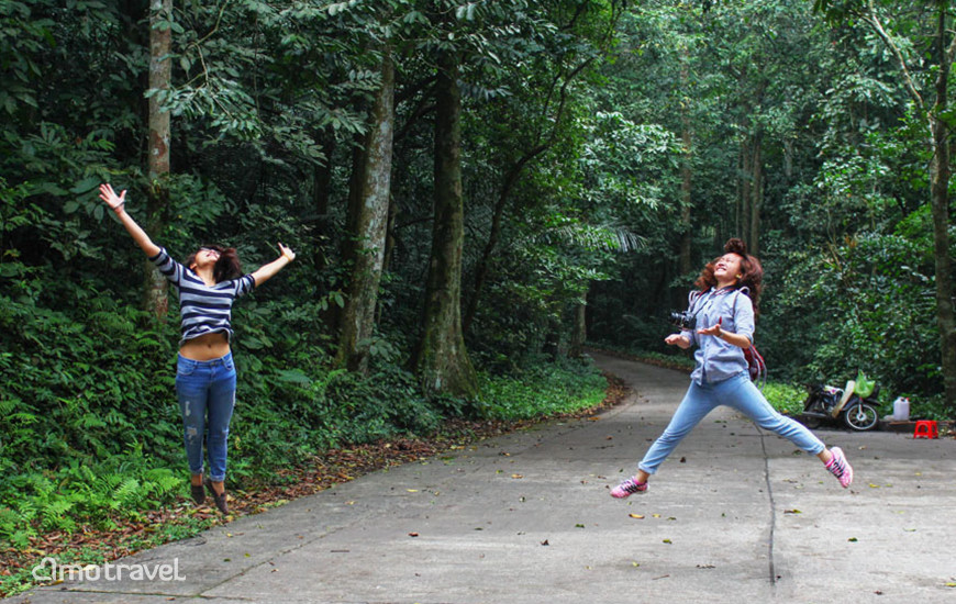 Cuc Phuong national park Ninh Binh - Foresta nazionale Cuc Phuong, Ninh Binh