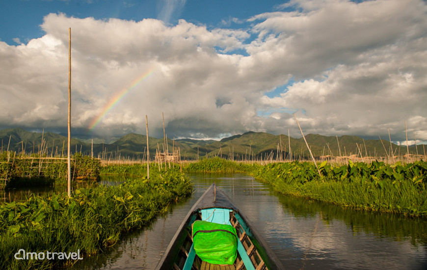 La gente si prendono cura degli alberi nei loro giardini galleggianti