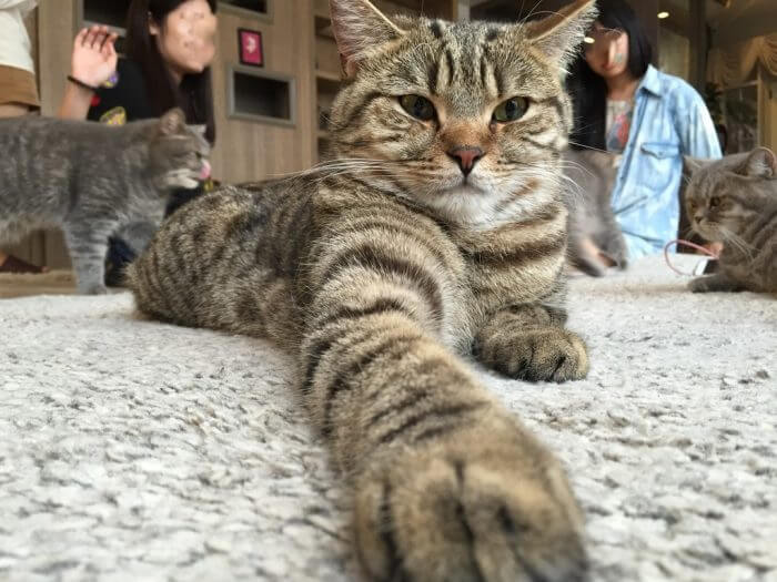 3 giorni perfetti a Bangkok: le migliori cose da fare