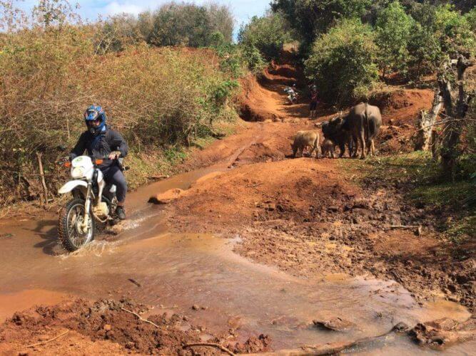 Viaggio in moto nel nord est del Vietnam in 10 giorni: Hanoi – Xin Man – Ha Giang – Dong Van – Meo Vac – Ba Be (Aggiornato 2020)