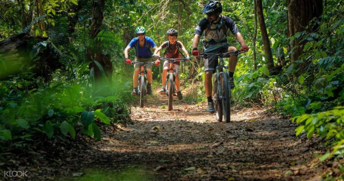 Guida turistica a Chiang Mai