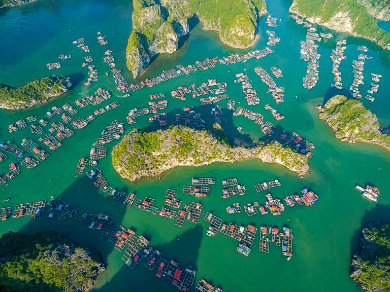 Isola di Cat Ba – Tutto da sapere prima di partire