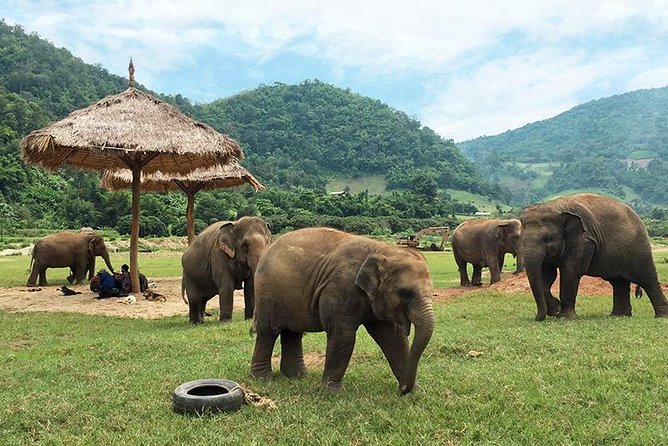 Guida turistica a Chiang Mai