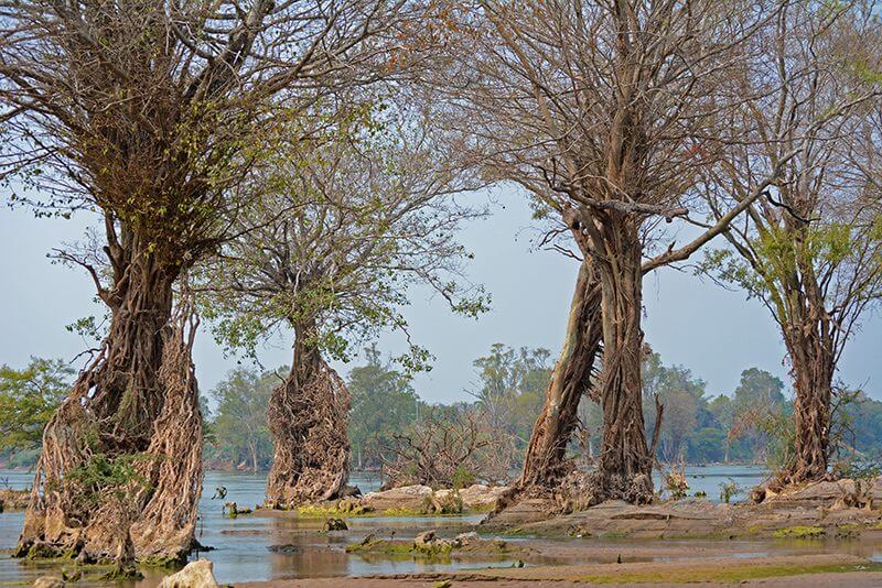Tutto su Stung Treng, in Cambogia