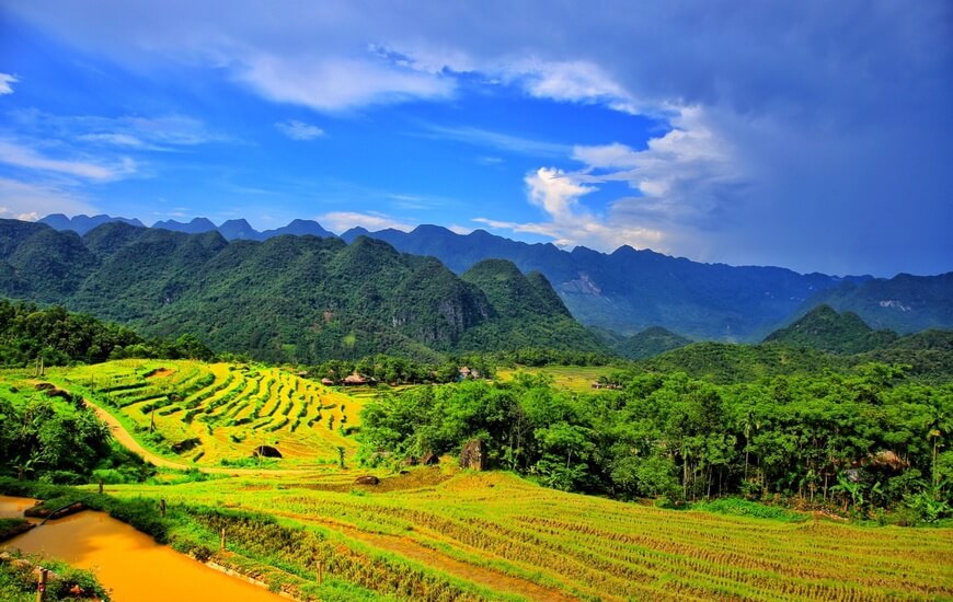 La riserva naturale di Pu Luong – un sito essenziale nel Vietnam del Nord.