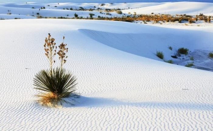 Dune di sabbia di Mui Ne
