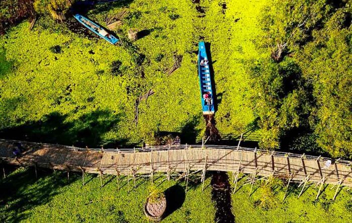Foresta pluviale di melaleuca Tra Su e il ponte di bambù più lungo del Vietnam