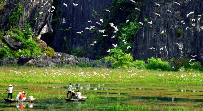 Riserva naturale di Van Long, Ninh Binh
