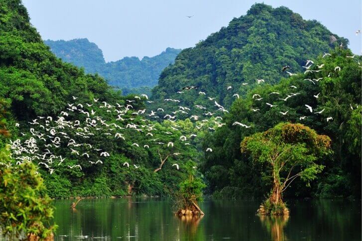 Riserva naturale di Van Long, Ninh Binh