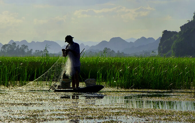 Riserva naturale di Van Long, Ninh Binh