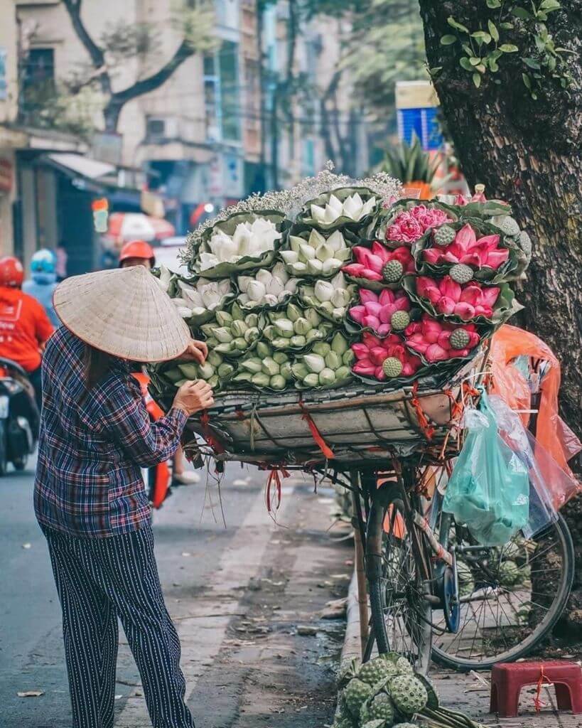 Le 12 stagioni dei fiori di Hanoi