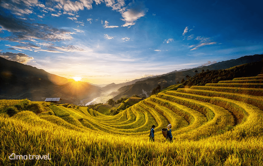 Sapa in Vietnam: Trekking tra risaie e villaggi etnici.
