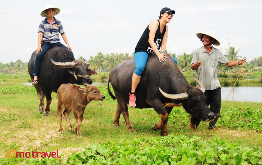 Villaggio di verdure Tra Que a Hoi An: Da semplice villaggio vegetale a meta turistica internazionale.