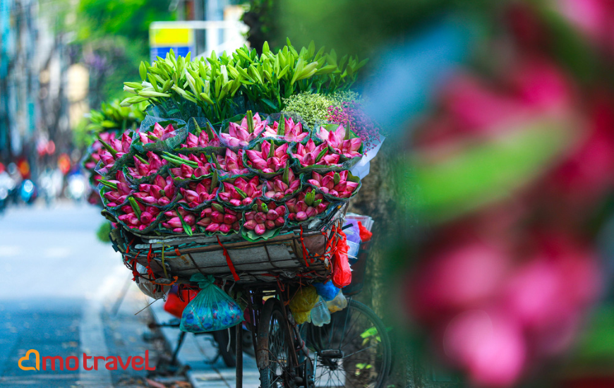 Viaggio ad Hanoi 2024: Le 12+ migliori cose da fare alla capitale del Vietnam.